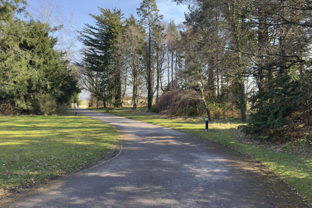 Driveway