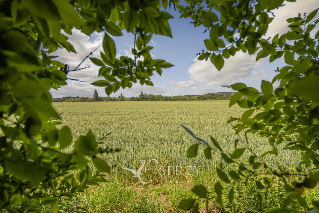 Countryside Views...