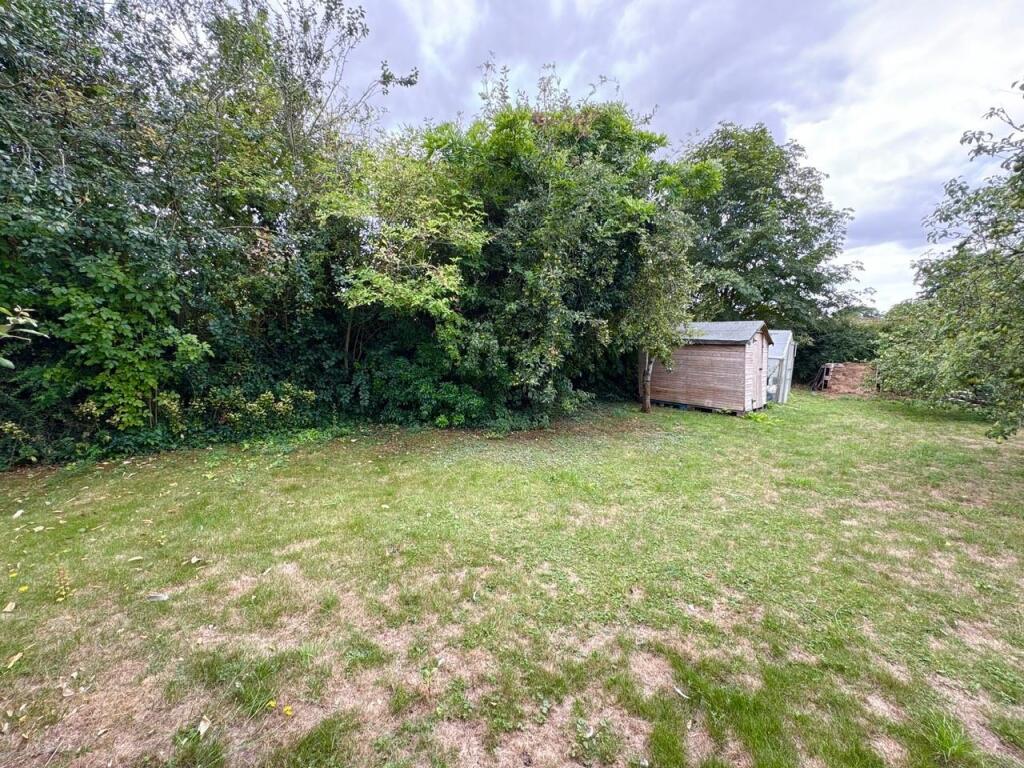 Garden.jpg