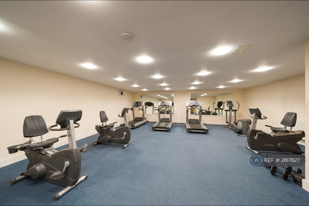 Gymnasium