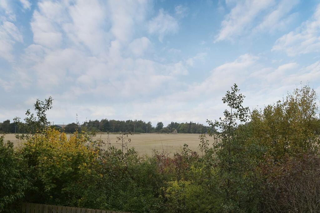 MFL0233860_768.jpg