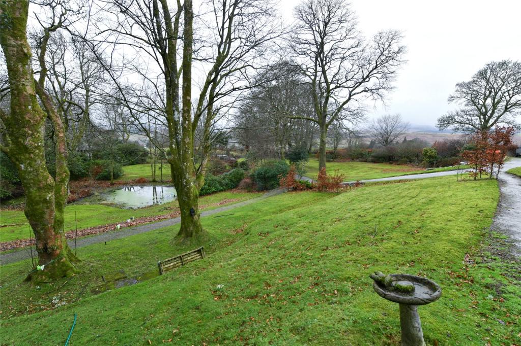 Garden and Pond