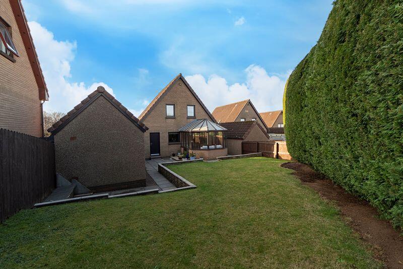 Back Garden