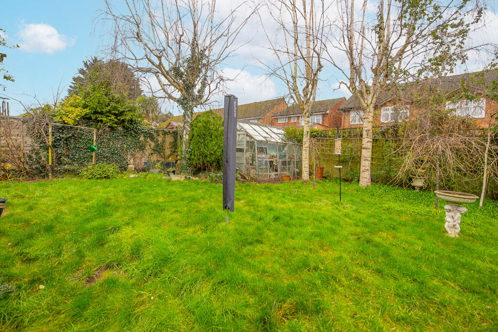 Back Garden