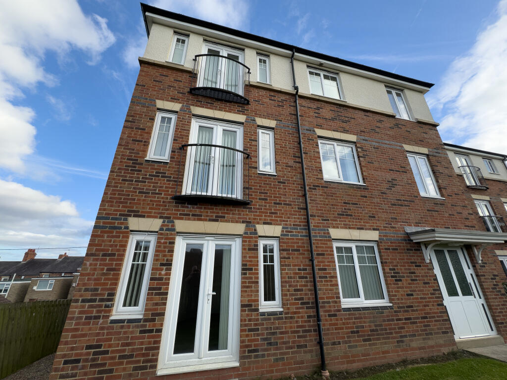 IMG 0254 T202510271353.jpg