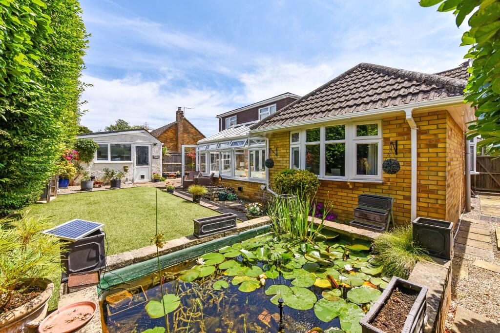 Pond