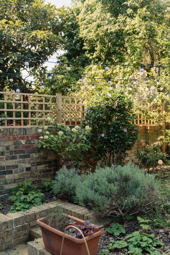 303868 - WOODSTOCK-ROAD-61.jpg