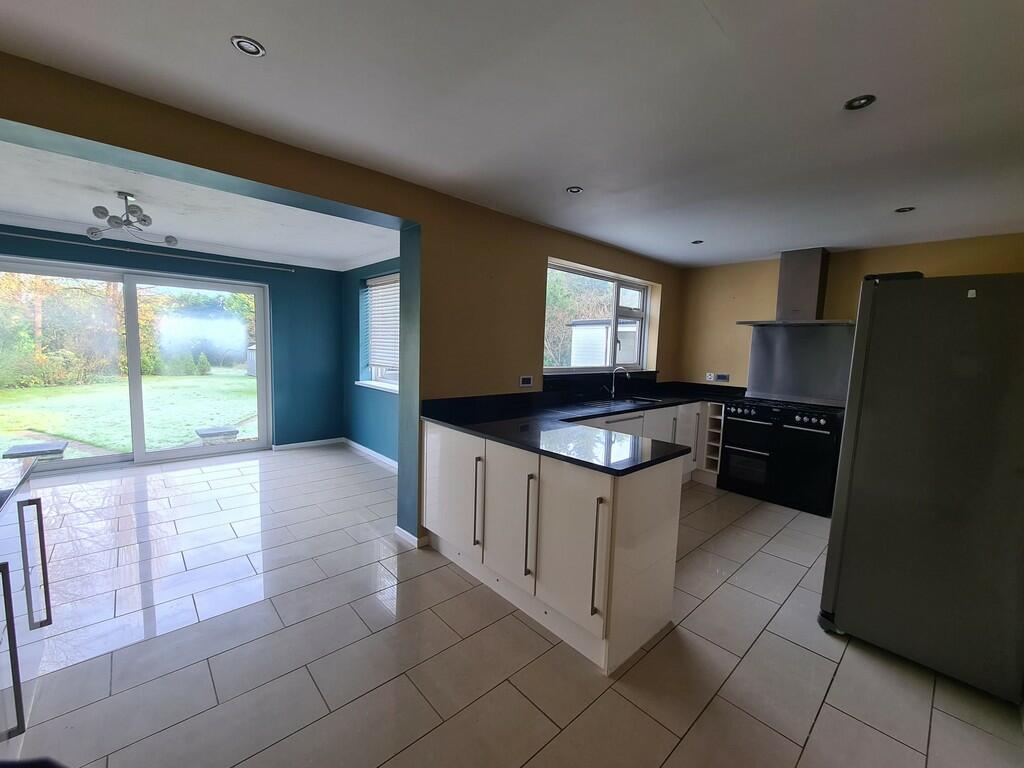 WhatsApp Image 20...