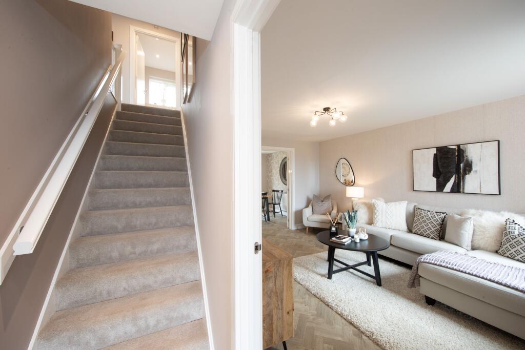 Showhome Photography