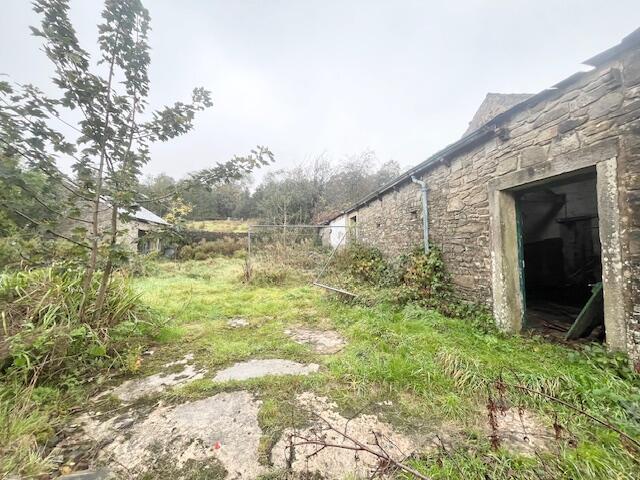 Image005 T202510101622.jpg