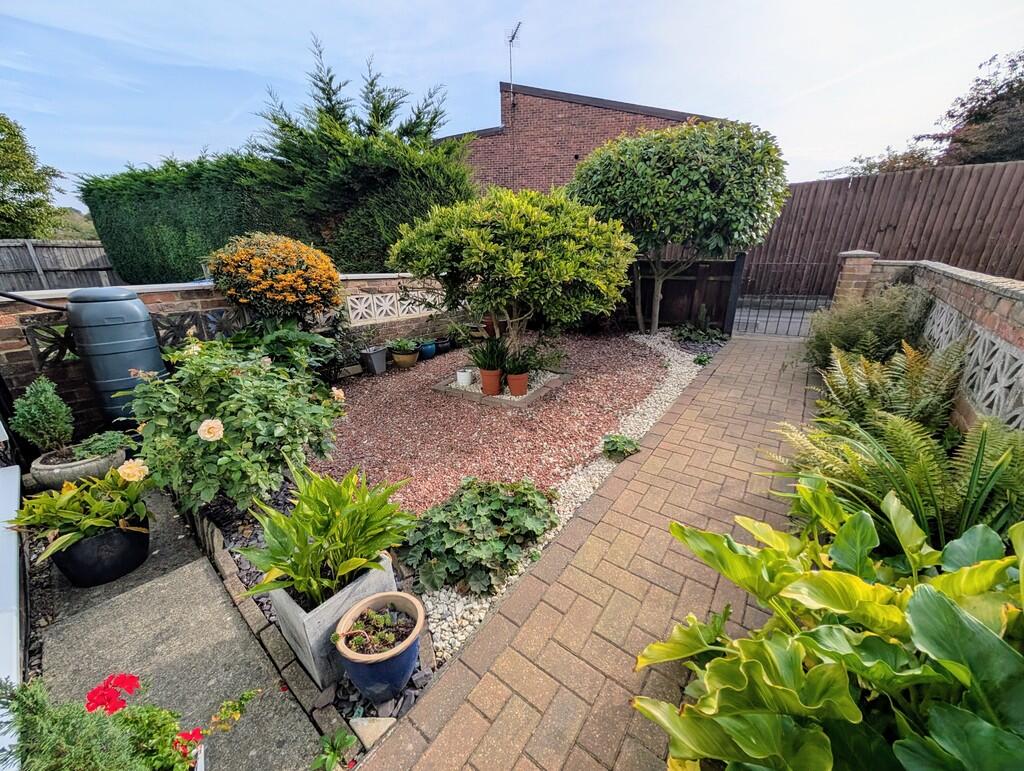 PXL_20251002_0917...