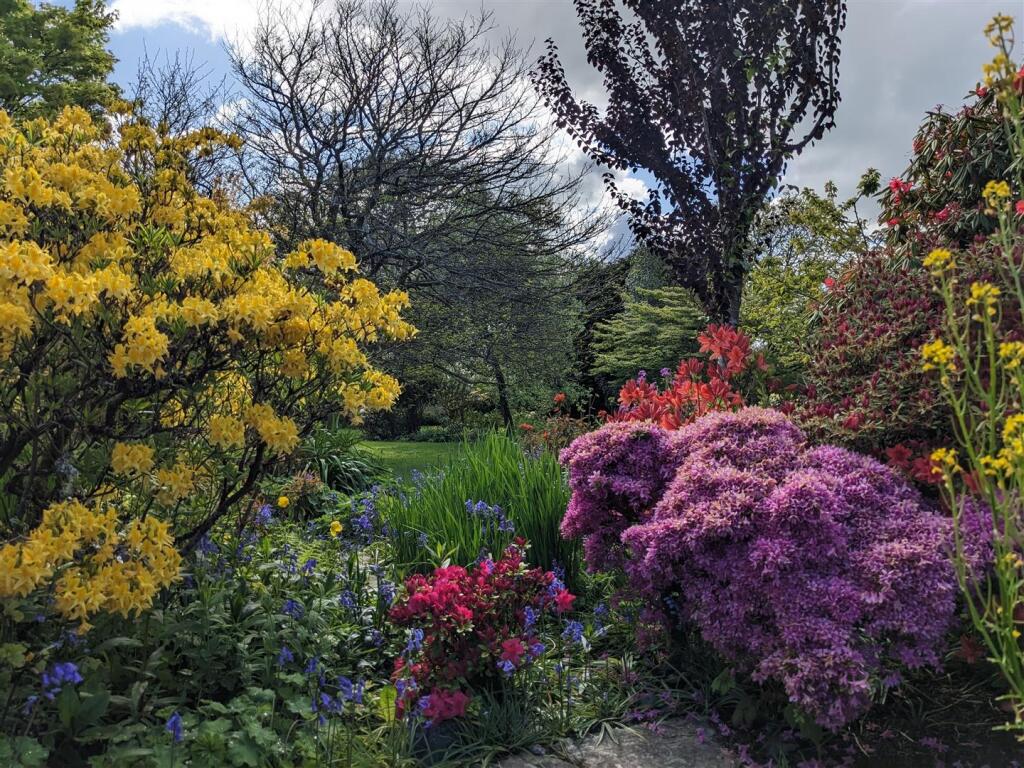 Vendor images (5).jpg