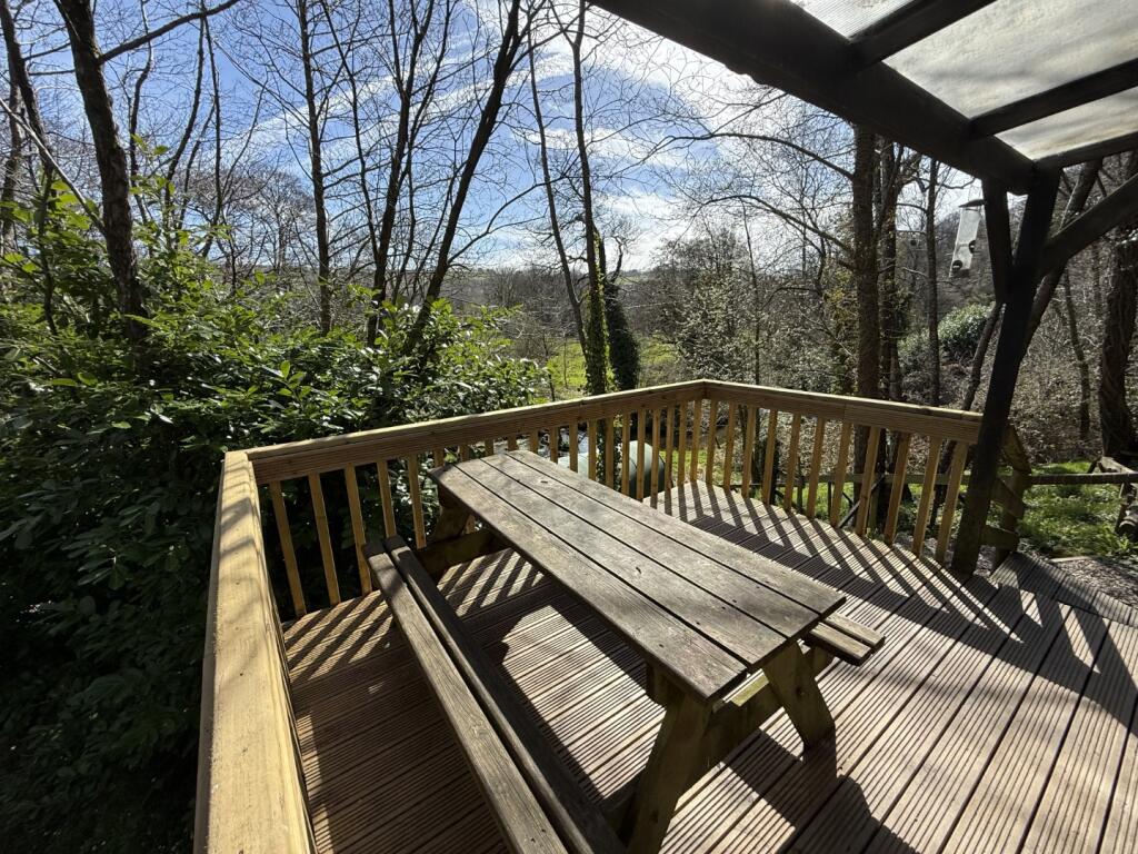 IMG 5371  Large  T202505021202.jpeg