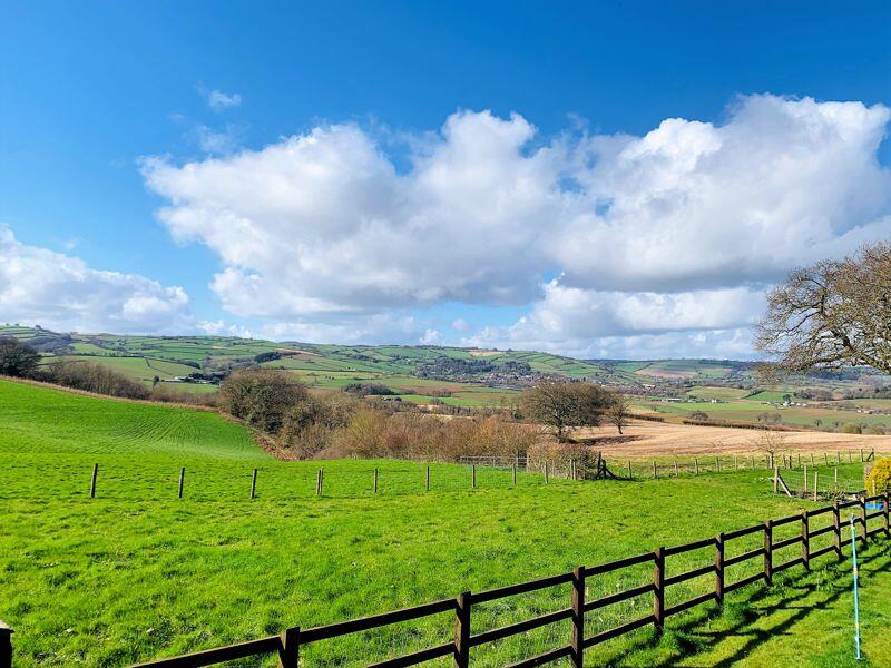 Far Reaching Views