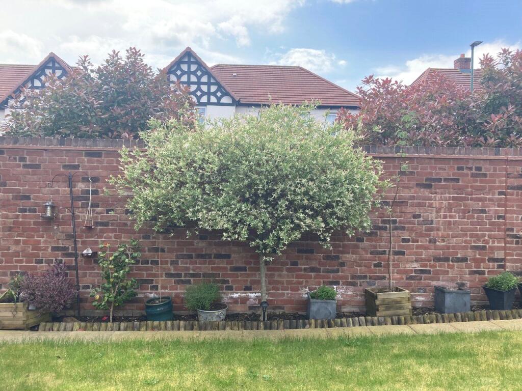 Summer Garden