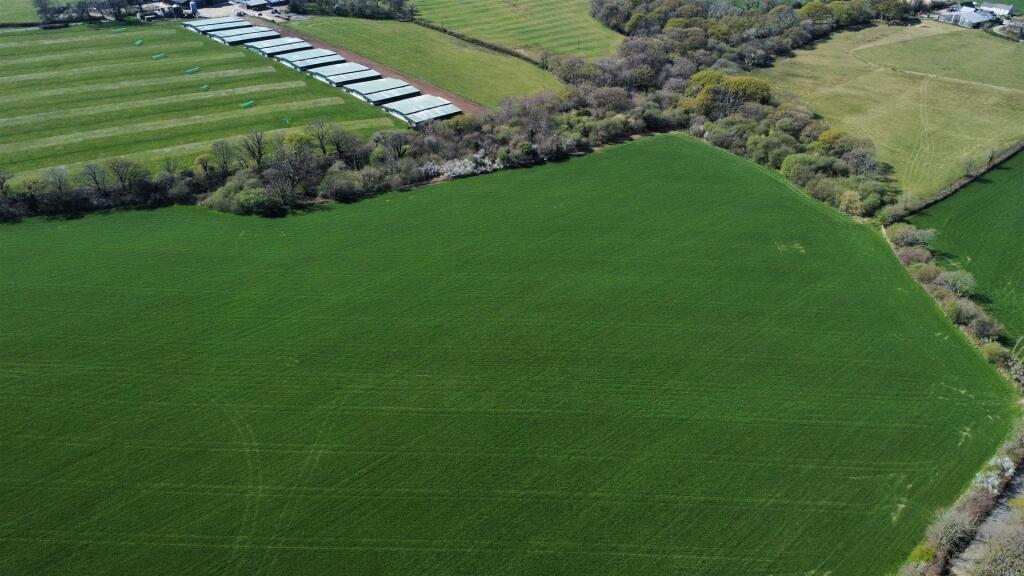 dji_fly_20250411_143736_195_1744378676163_photo_op