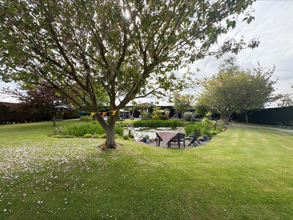 processed-34F08181-9672-482C-994B-2AC7CE73242B.jpe