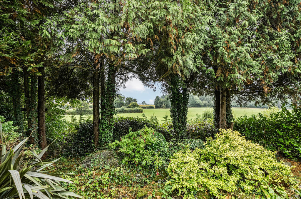 1348096-11-68b810...