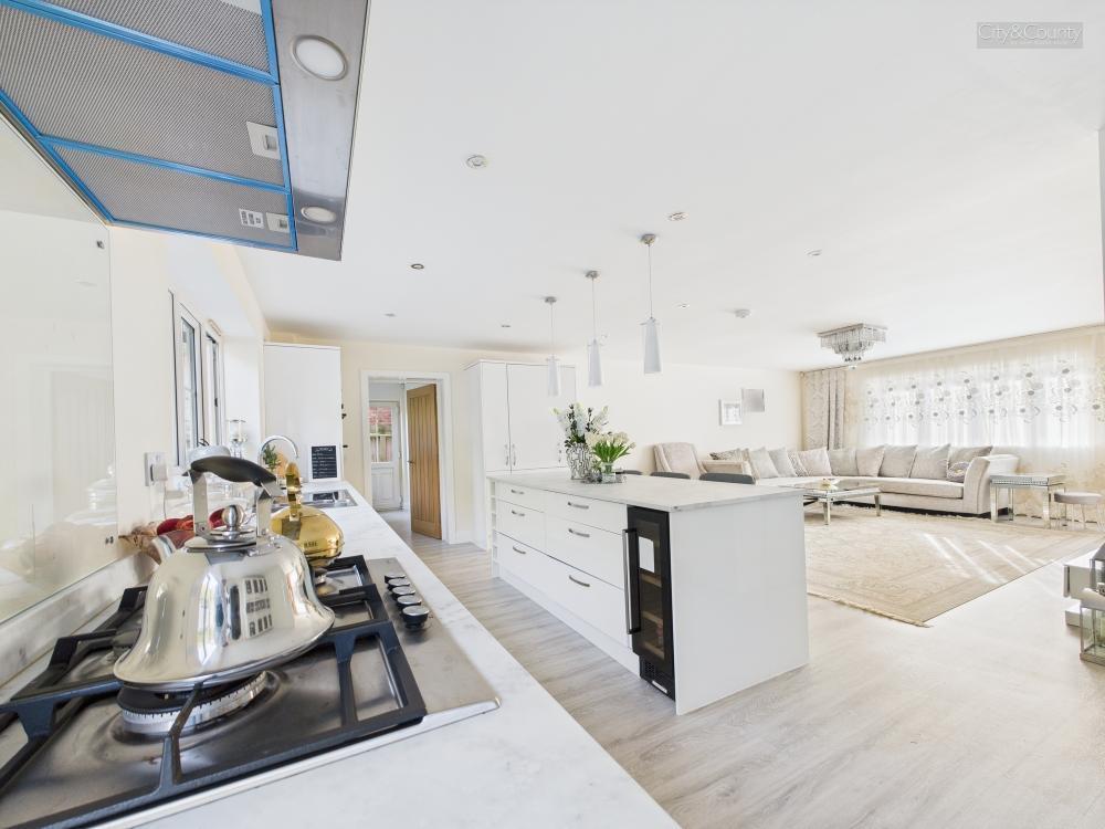 Kitchen/Living/Dining Area