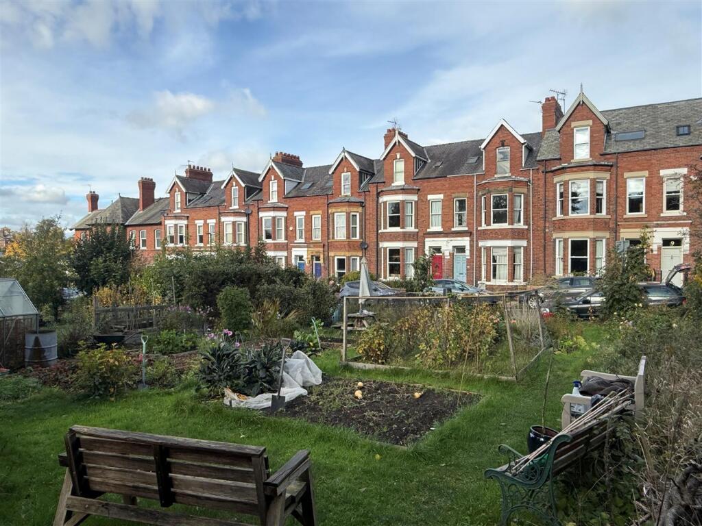 View of allotments.jpg