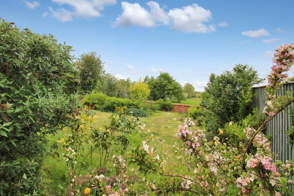 Rear Garden.JPG