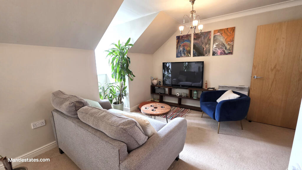 LOUNGE - DINING AREA