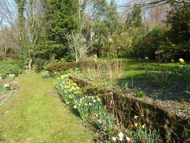Communal gardens