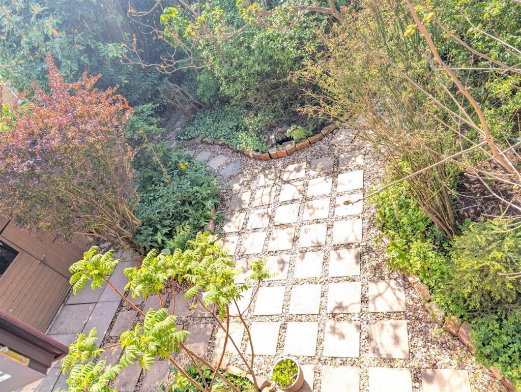 Back Garden 1.jpg