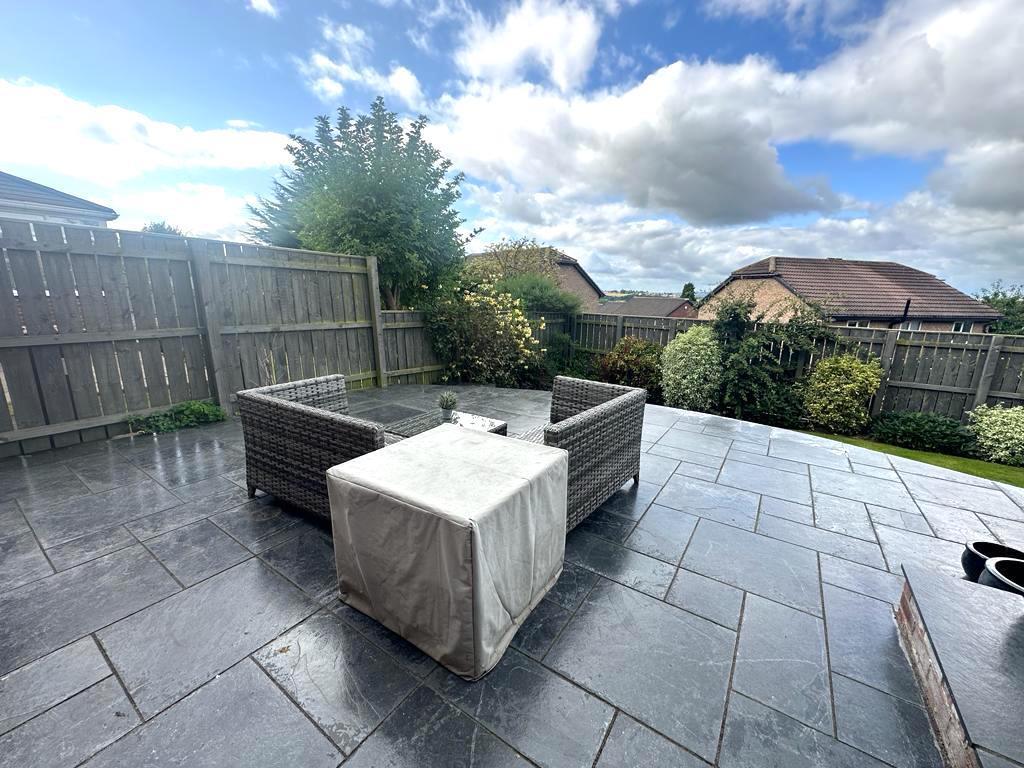 WhatsApp Image 2023-08-24 at 06.56.16 (6).jpeg