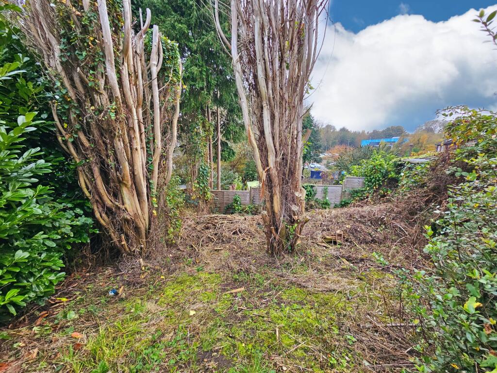 2a0d36d3-b4c6-472d-8373-9cc1fbcedf8f