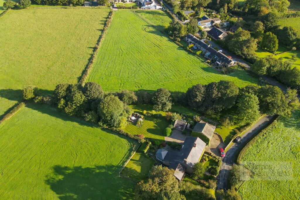 DJI_0019.jpg