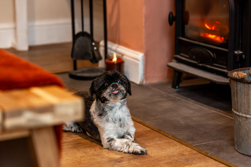 5F8A3171-Enhanced-NR