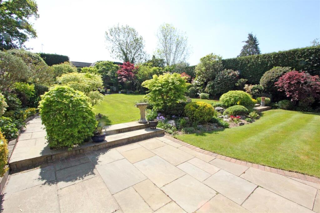 IMG_5086 patio garden.jpg