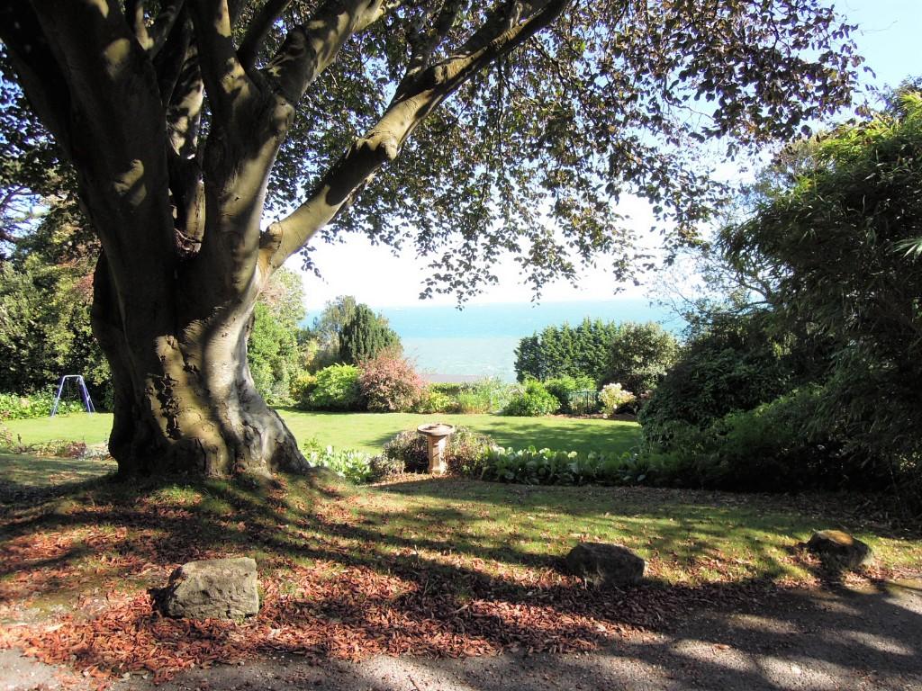 Communal Gardens