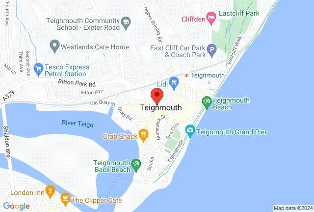 Google Maps Image