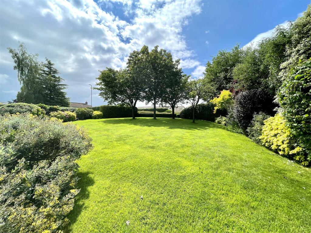GARDEN.jpeg