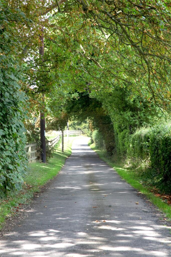Driveway