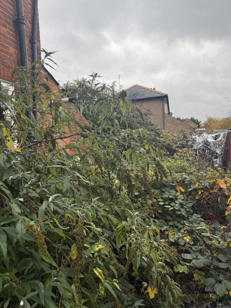 IMG 0209 T202511071433.jpeg