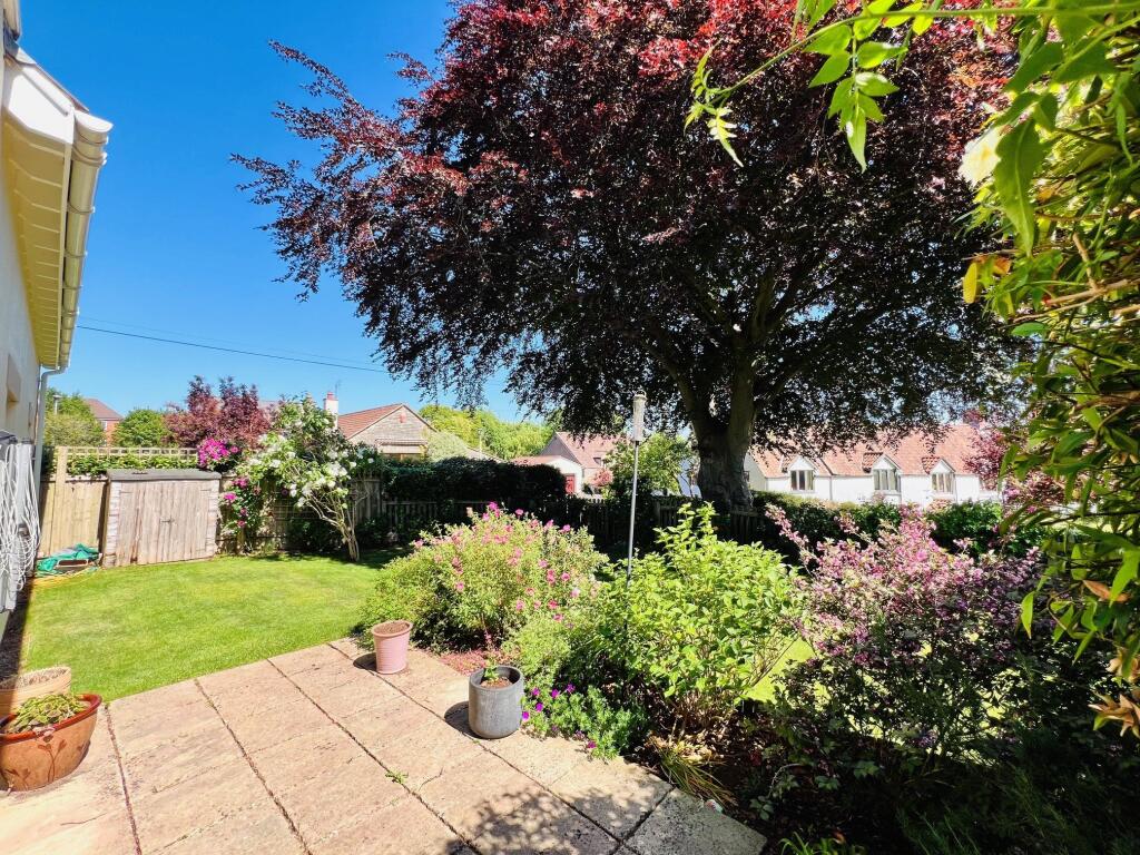Patio &amp; Garden