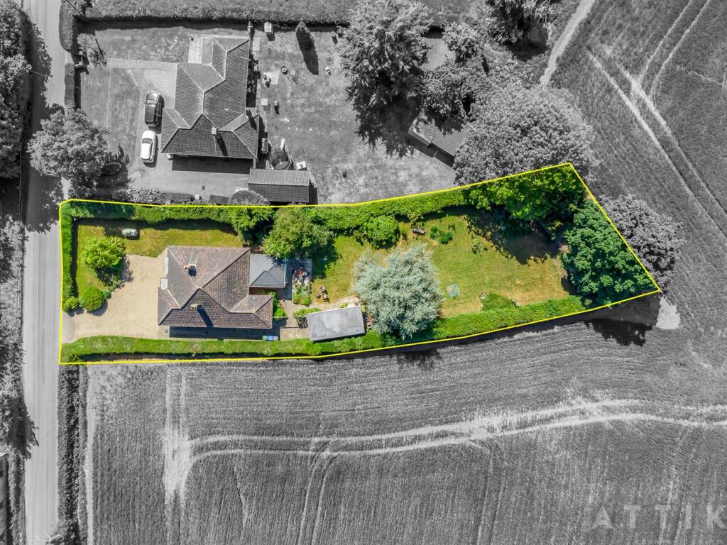 ATTIK (3)_B&amp;W.jpg