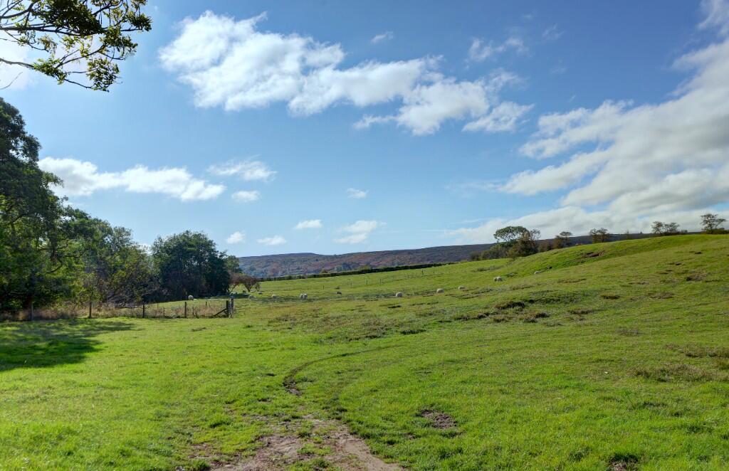 Land