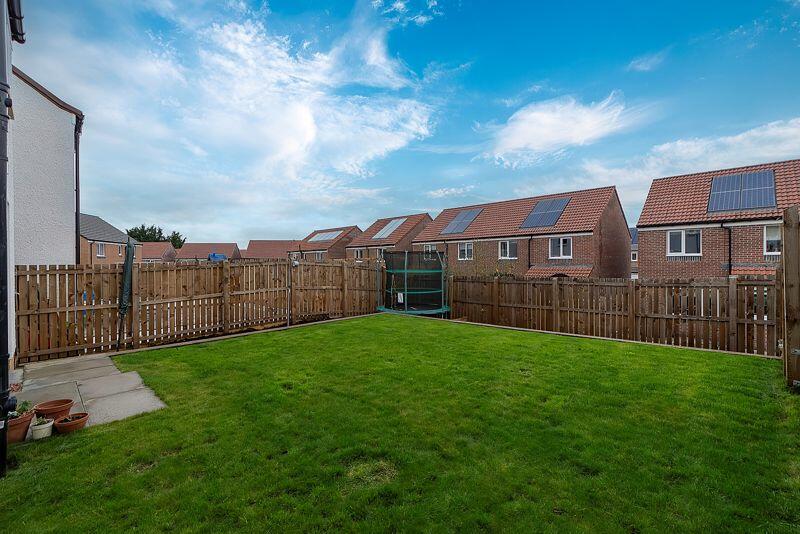 Back Garden