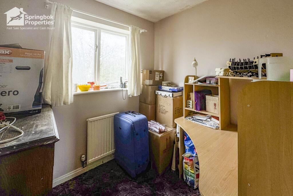 IMAGE 11