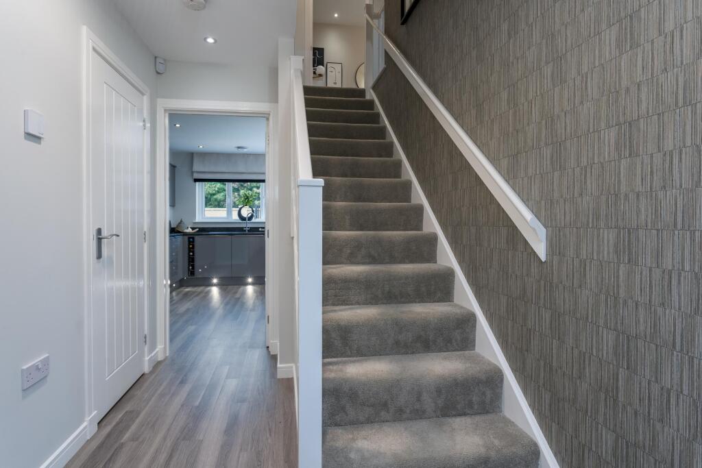 Showhome Photography