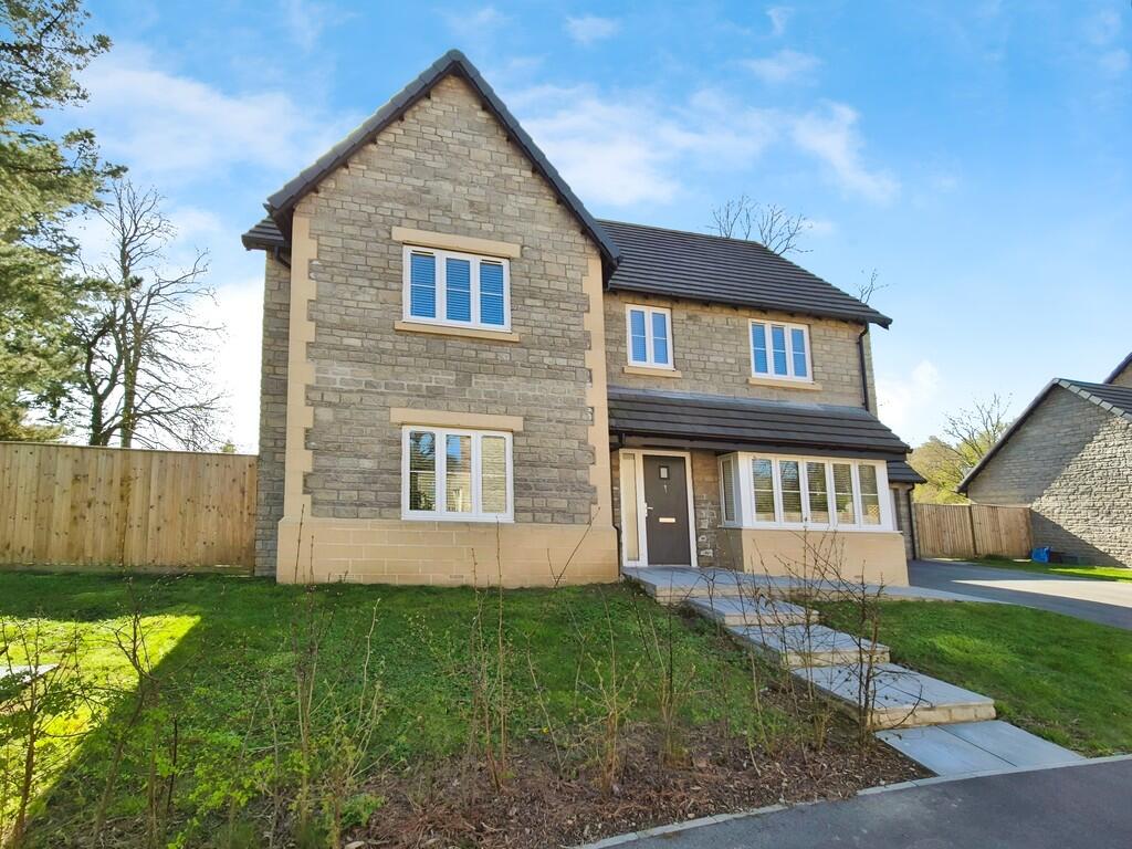 aed565bc-10000252...