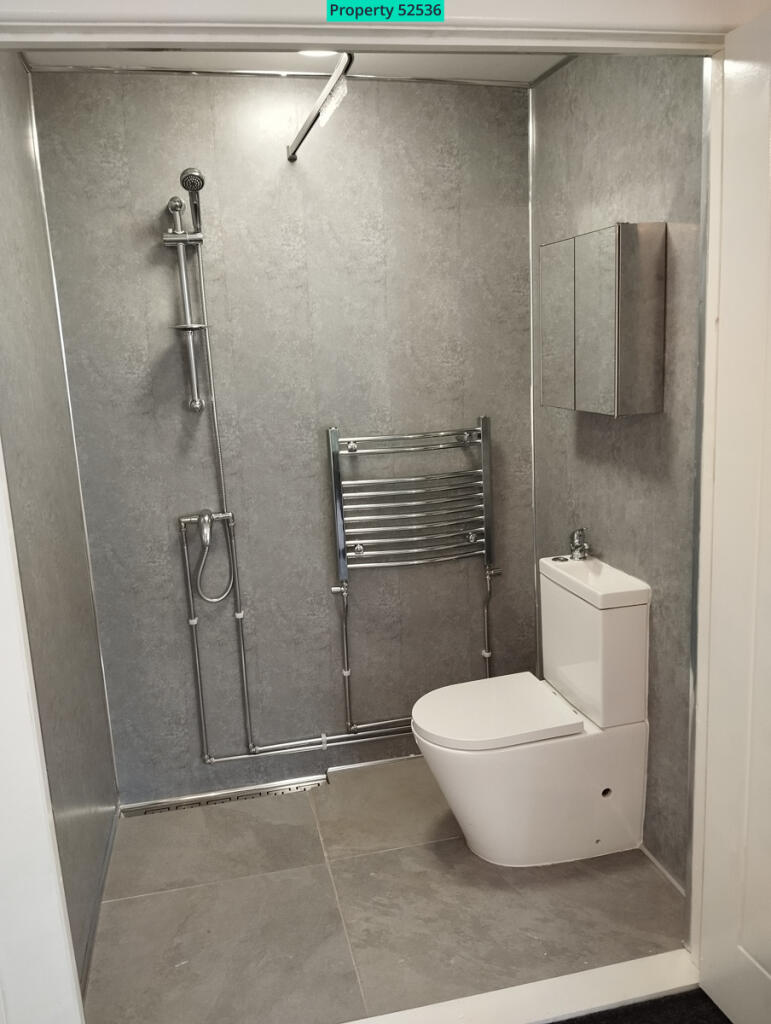 Studio apartment wet room