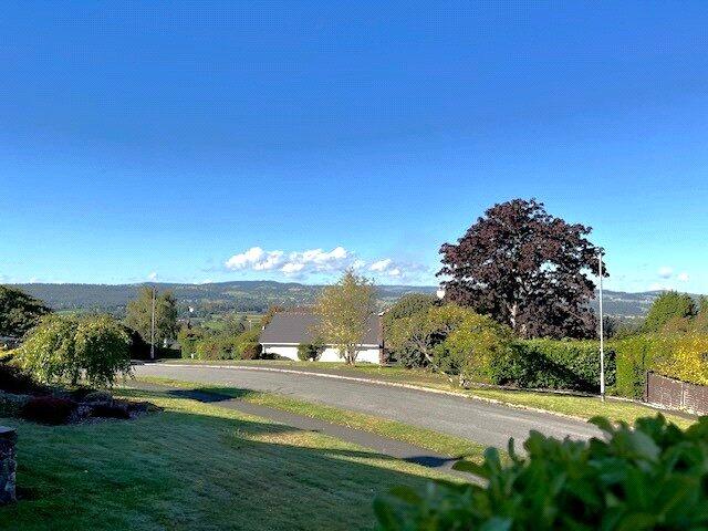 Views To Front