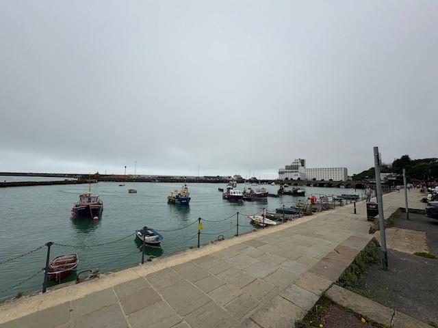 Harbour.jpg
