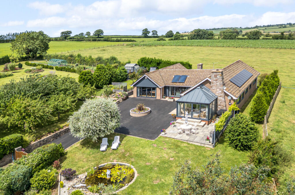 1315591-2-685e41f...