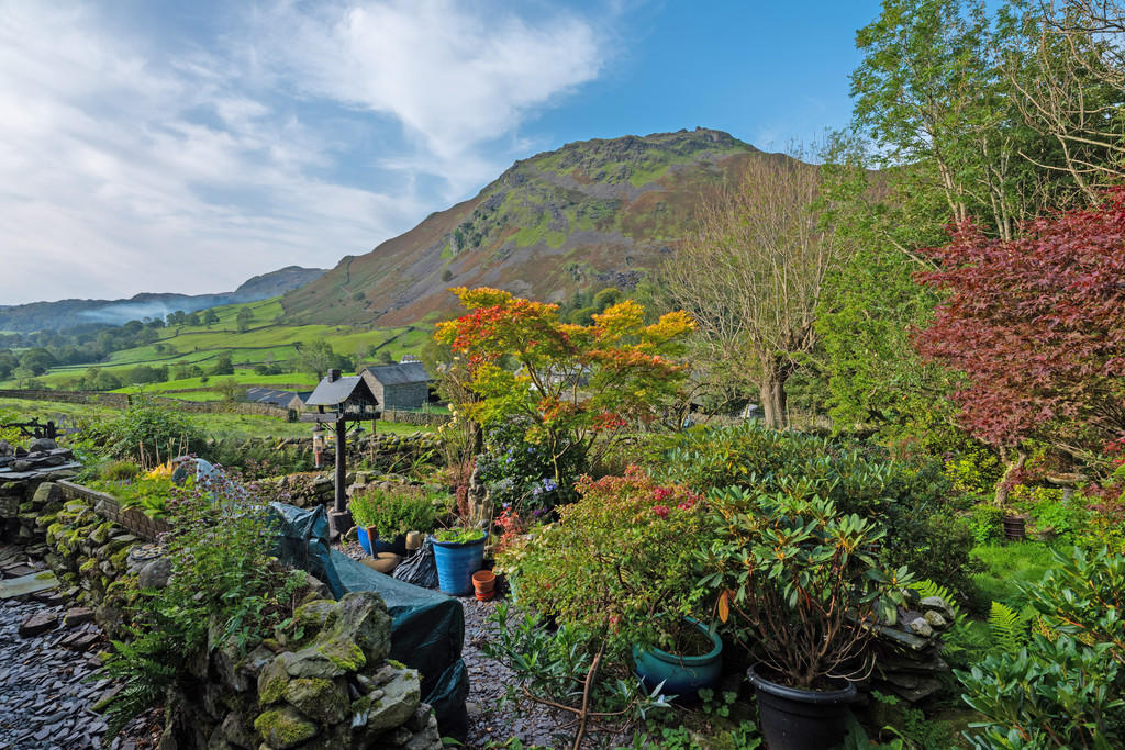 Garden and View